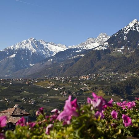 Hotel Garni Katnau Шена Стая снимка